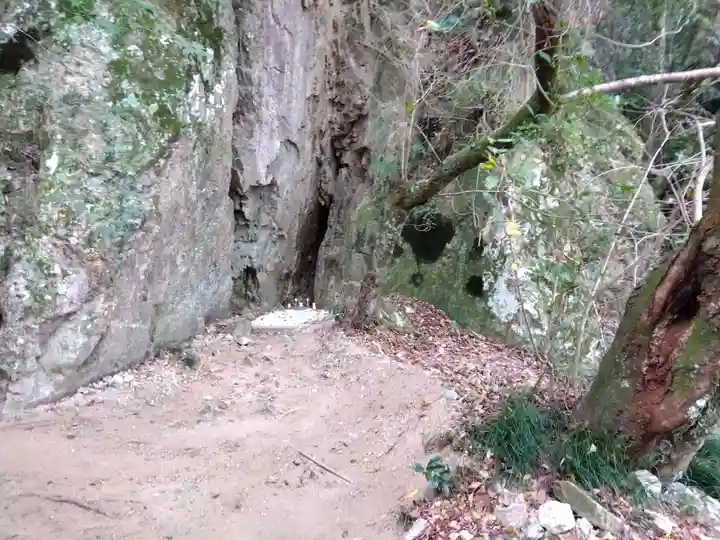 藤ヶ崎龍神社のその他建物