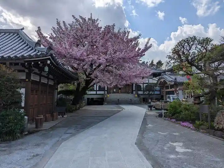 感通寺(東京都)