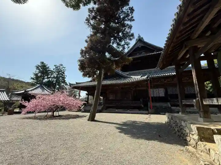 粉河寺の{uncategorized: "未分類", other: "その他", undefined: "問題あり", building: "その他建物", grave: "お墓", sacred_gate: "鳥居", guardian: "狛犬", statue: "像", buddha: "仏像", history: "歴史", nature: "自然", garden: "庭園", animal: "動物", pagoda: "塔", temizu: "手水舎", mountain_gate: "山門・神門", sanctuary: "本殿・本堂", subordinate: "末社・摂社", art: "芸術", scenery: "景色", jizo: "地蔵", ema: "絵馬", goshuin: "御朱印", omikuji: "おみくじ", items: "授与品その他", amulet: "お守り", goshuincho: "御朱印帳", eats: "食事", festival: "お祭り", votive_dance: "神楽", shichigosan: "七五三参", wedding: "結婚式", experience: "体験その他", initially: "初詣", around: "周辺", anti_infection: "感染症対策"}