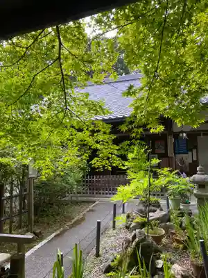 十輪寺の本殿・本堂