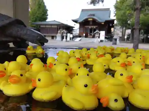 杉杜白髭神社(福井県)