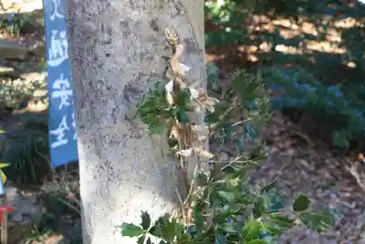 滑川神社 - 仕事と子どもの守り神の授与品その他