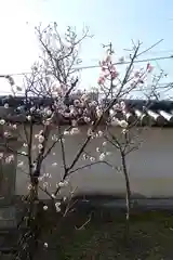 菅原天満宮（菅原神社）(奈良県)