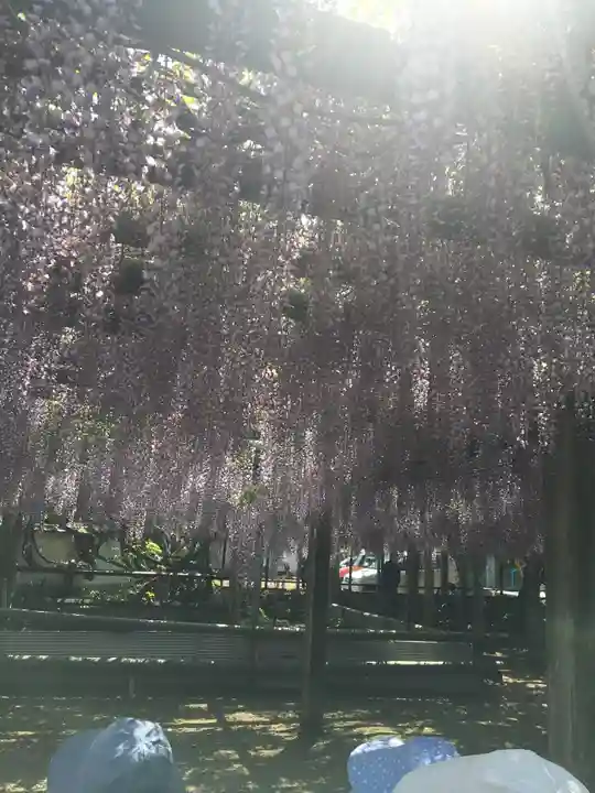 禎祥寺(愛媛県)