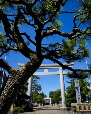 福井県護国神社(福井県)