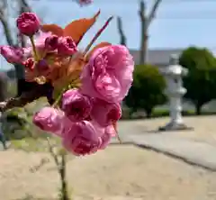 鹿島台神社の自然