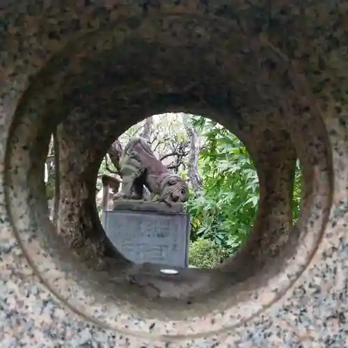 鳩森八幡神社の狛犬