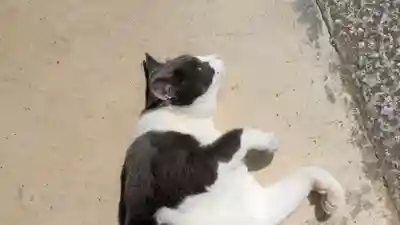 常谷寺(奈良県)