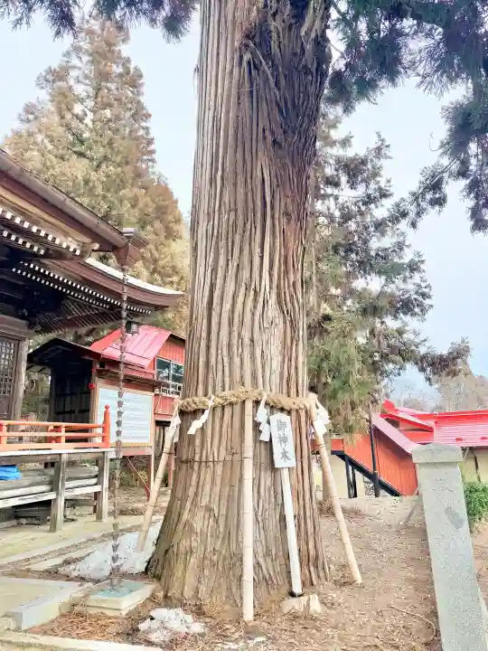 鼬幣稲荷神社の{uncategorized: "未分類", other: "その他", undefined: "問題あり", building: "その他建物", grave: "お墓", sacred_gate: "鳥居", guardian: "狛犬", statue: "像", buddha: "仏像", history: "歴史", nature: "自然", garden: "庭園", animal: "動物", pagoda: "塔", temizu: "手水舎", mountain_gate: "山門・神門", sanctuary: "本殿・本堂", subordinate: "末社・摂社", art: "芸術", scenery: "景色", jizo: "地蔵", ema: "絵馬", goshuin: "御朱印", omikuji: "おみくじ", items: "授与品その他", amulet: "お守り", goshuincho: "御朱印帳", eats: "食事", festival: "お祭り", votive_dance: "神楽", shichigosan: "七五三参", wedding: "結婚式", experience: "体験その他", initially: "初詣", around: "周辺", anti_infection: "感染症対策"}