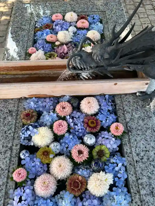 川越八幡宮(埼玉県)