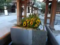 宮地嶽神社の手水舎