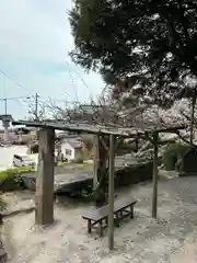 白鬚神社(滋賀県)