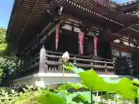 寛永寺開山堂のその他建物