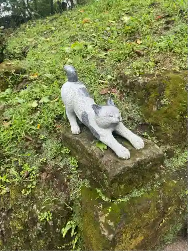 猫神社(鹿児島県)