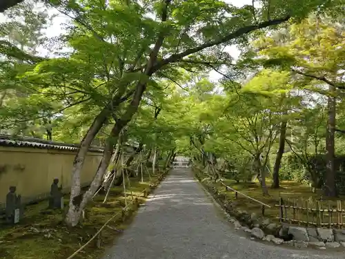 宝厳院(京都府)