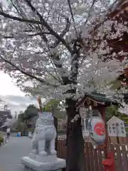 瀧泉寺（目黒不動尊）(東京都)