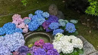 勝林寺(京都府)