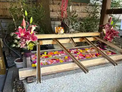 東京大神宮(東京都)