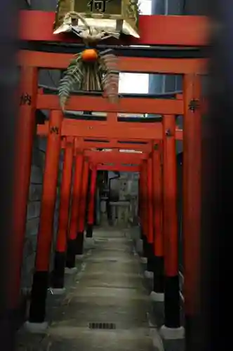 亀山稲荷神社 の鳥居