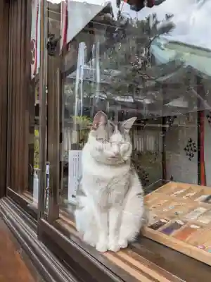 本郷氷川神社(東京都)