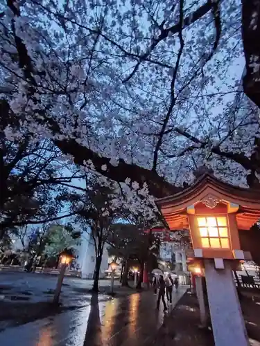 花園神社(東京都)