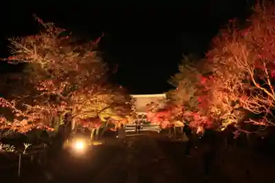 仁和寺のその他建物