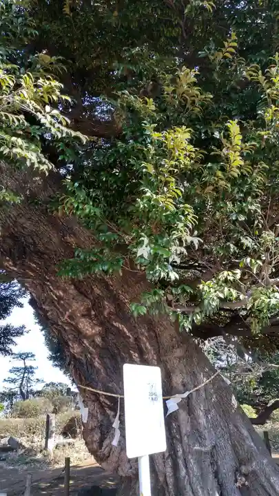 九重神社(埼玉県)