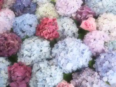 桜神宮(東京都)