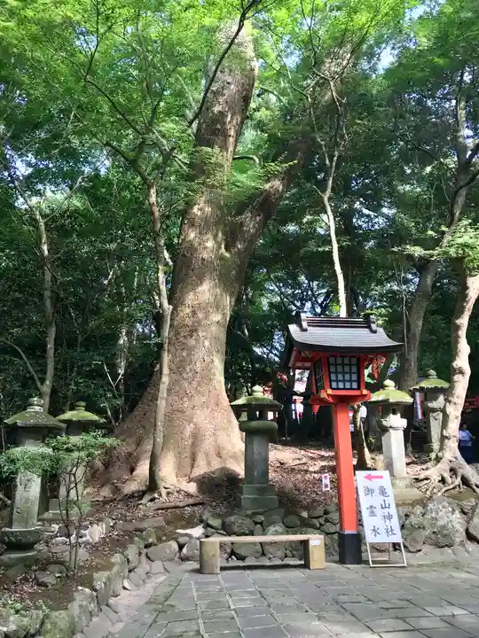 宇佐神宮(大分県)