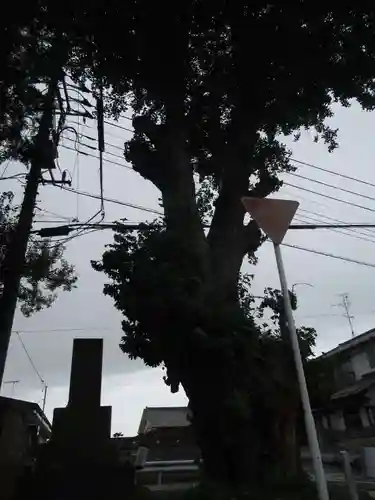 大龍寺(千葉県)