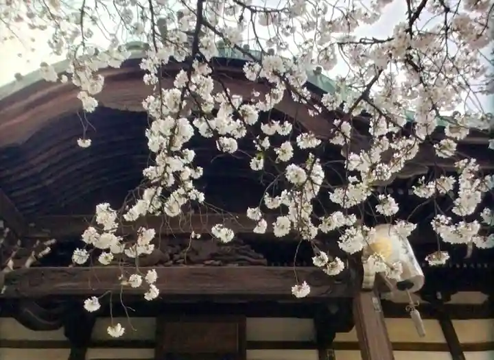龍光寺(東京都)