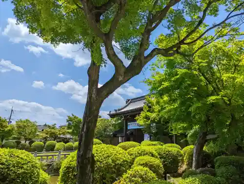 妙満寺(京都府)