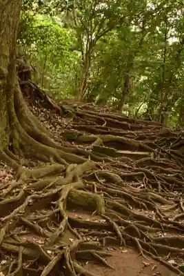 石見国一宮　物部神社(島根県)