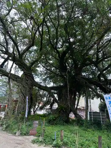 野島神社(宮崎県)