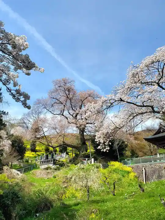 曹洞宗 永松山 龍泉寺(福島県)