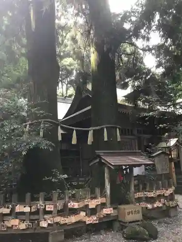 高千穂神社の自然