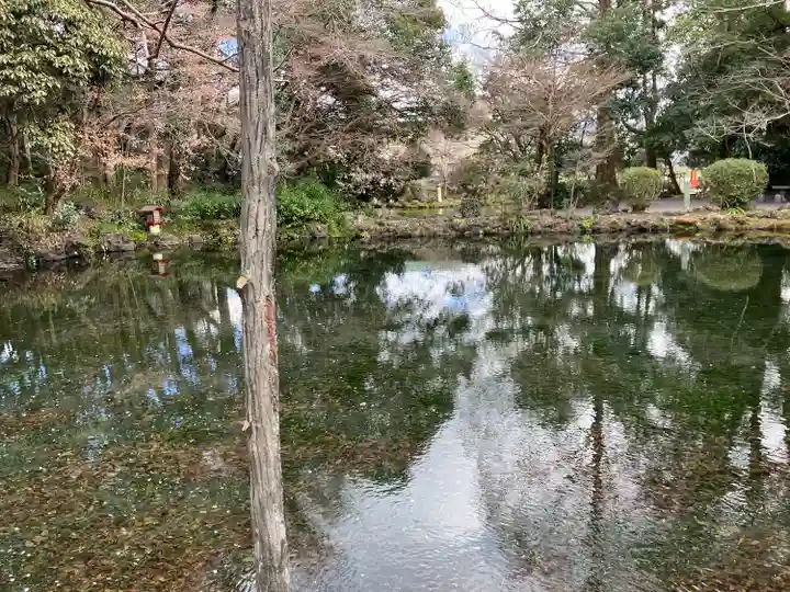 富士山本宮浅間大社(静岡県)