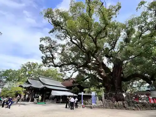 宇美八幡宮(福岡県)