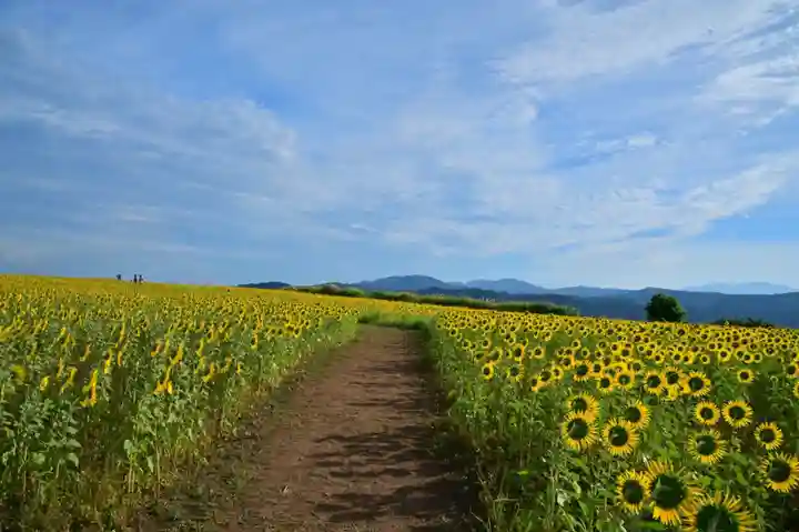 沢山神社(澤山神社)(新潟県)