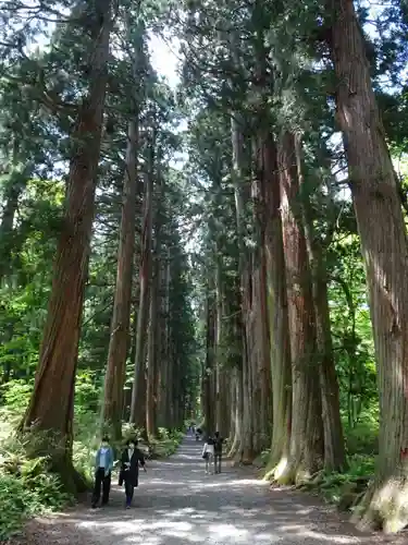 戸隠神社奥社(長野県)