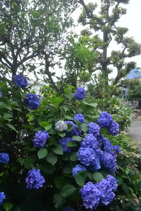 宝祥寺(東京都)
