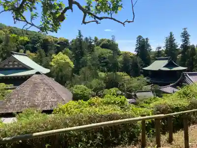 龍隠庵の{uncategorized: "未分類", other: "その他", undefined: "問題あり", building: "その他建物", grave: "お墓", sacred_gate: "鳥居", guardian: "狛犬", statue: "像", buddha: "仏像", history: "歴史", nature: "自然", garden: "庭園", animal: "動物", pagoda: "塔", temizu: "手水舎", mountain_gate: "山門・神門", sanctuary: "本殿・本堂", subordinate: "末社・摂社", art: "芸術", scenery: "景色", jizo: "地蔵", ema: "絵馬", goshuin: "御朱印", omikuji: "おみくじ", items: "授与品その他", amulet: "お守り", goshuincho: "御朱印帳", eats: "食事", festival: "お祭り", votive_dance: "神楽", shichigosan: "七五三参", wedding: "結婚式", experience: "体験その他", initially: "初詣", around: "周辺", anti_infection: "感染症対策"}