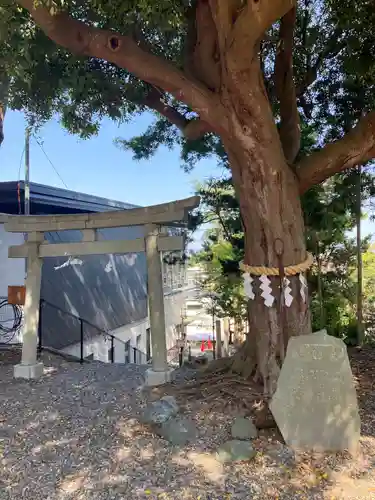 玉前神社の鳥居