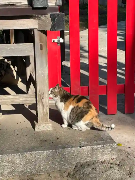 大津神社(大阪府)