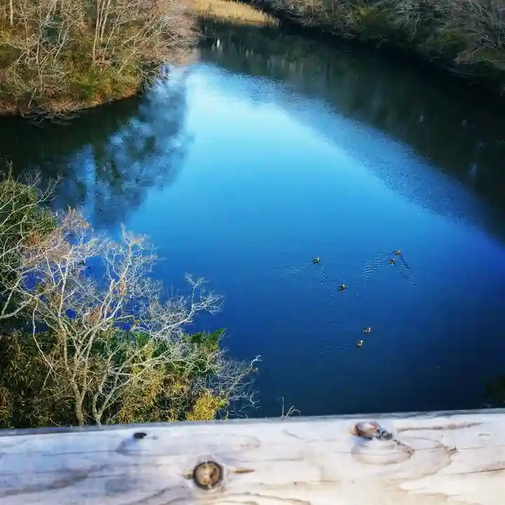 大生神社の自然