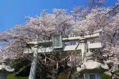 白山神社の鳥居