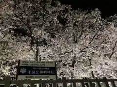 小垣江神明神社の自然