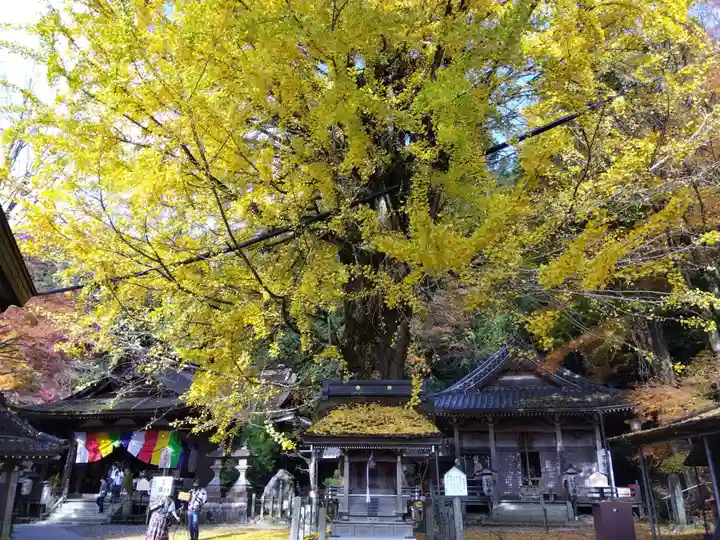 正法寺(滋賀県)