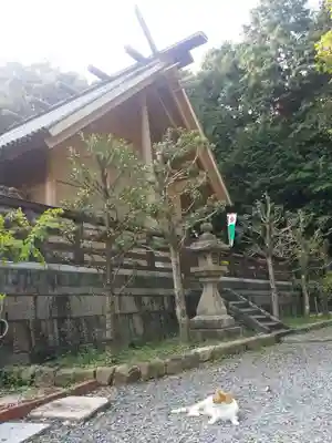 上宮天満宮の本殿・本堂