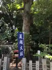 富部神社の自然